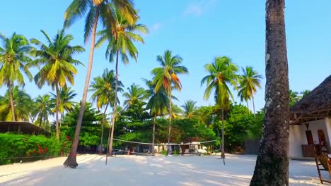 Ein-Beachvolleyballnetz-Hing-An-Zwei-Kokospalmen-An-Einem-Sehr-Schönen-Weißen-Sandstrand---Jambiani-Sansibar---Zeitlupe