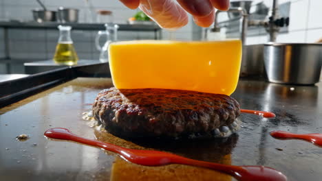 burger with cheese