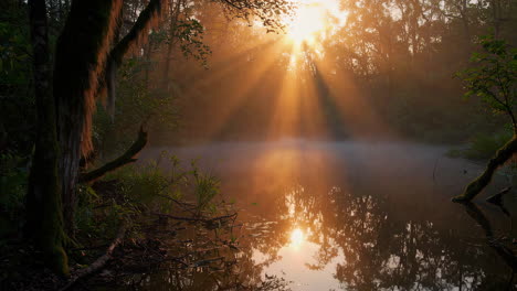 sunlight piercing through misty forest over water