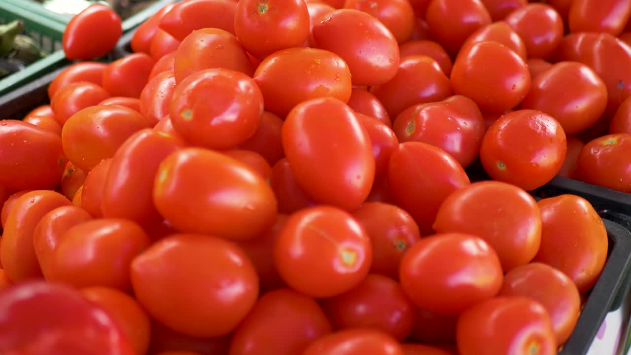 Slow motion close up of a bunch of fresh red roma garden tomatoes in a basket at a farmer's market food harvest and organic produce stall at Central Coast Australia agriculture vegetables ingredients