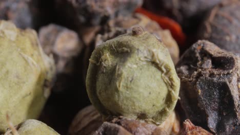 peppercorns or mixture of peppers spice. red, white black and green hot pepper super macro close up