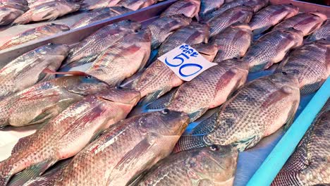 filas de pescado para la venta en una mesa de mercado