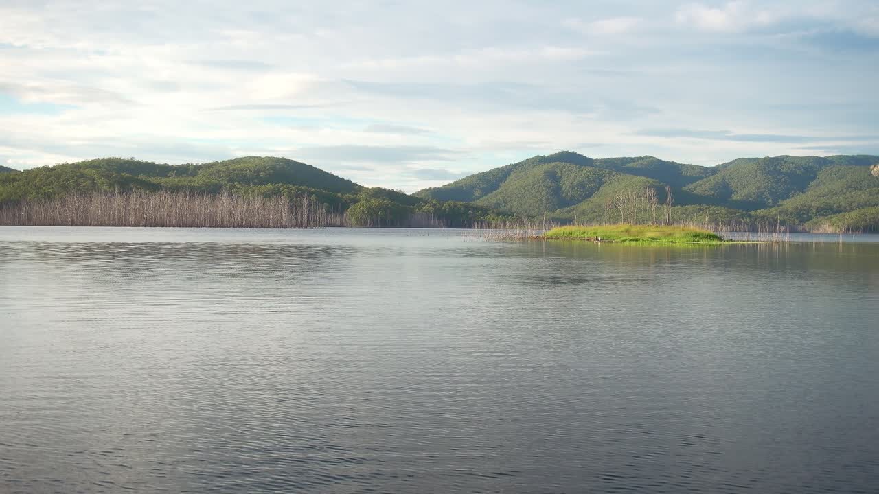 A panoramic shot captures Hinze Dam’s vast waters with petrified trees and distant mountains under a clear sky.