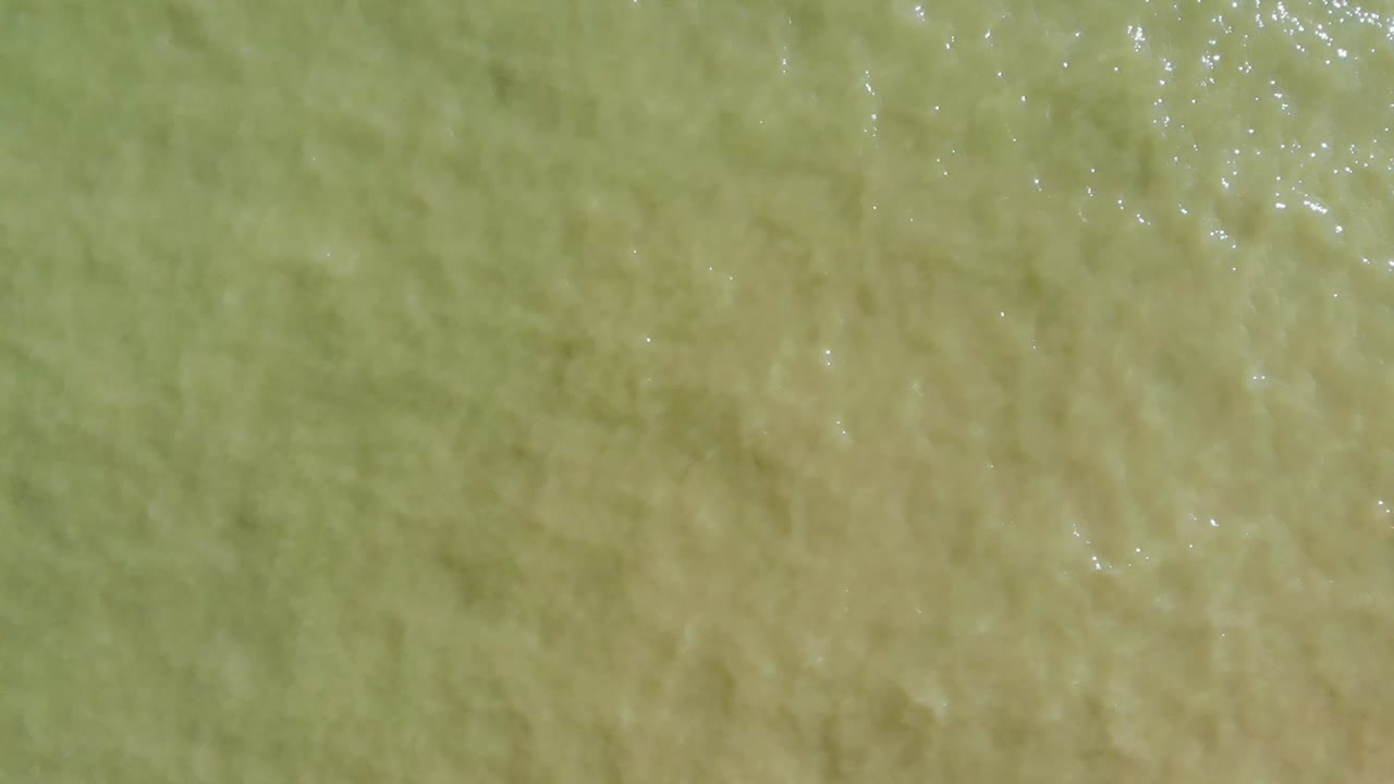 un pájaro volando, vista superior del océano irlanda