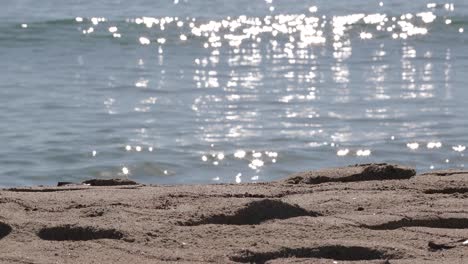 Blick-Auf-Den-Sandstrand-Im-Vordergrund-Und-Meereswellen-Mit-Lichtreflexen-Im-Hintergrund