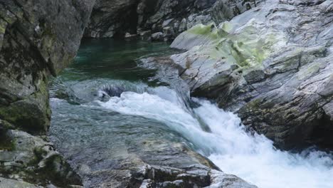 nature shot of a river