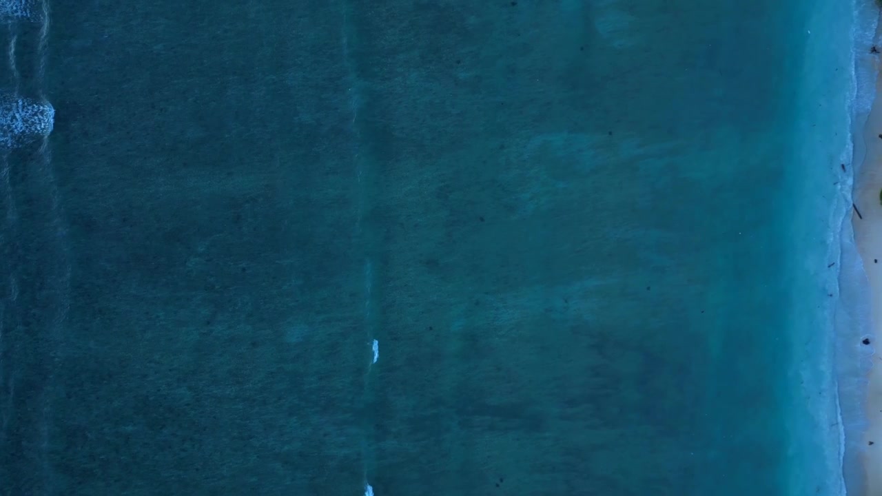 Onde oceaniche che si infrangono dolcemente su una spiaggia tropicale sabbiosa con acqua turchese limpida e poco profonda. Vista dall'alto di grandi tartarughe marine. Spettacolare vista aerea con la telecamera del drone che si eleva puntando verso il basso.