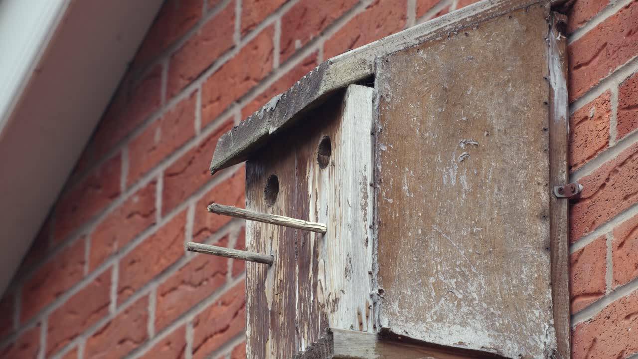 큰 이 새 상자를 떠납니다.