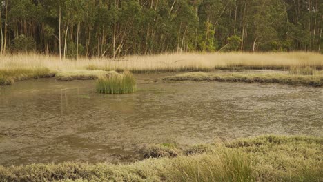 4k muddy river bed in a low tide with some water flowing down the river to the ocean