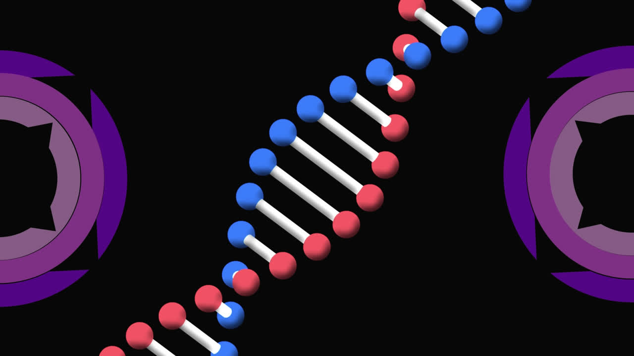 Animation af scannende felter og roterende DNA-streng.