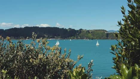 evans bay, wellington new zealand