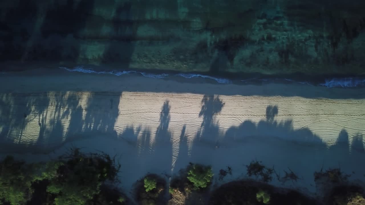 Ripresa con drone a volo d'uccello lungo una spiaggia hawaiana con piccole onde che si infrangono sulla riva