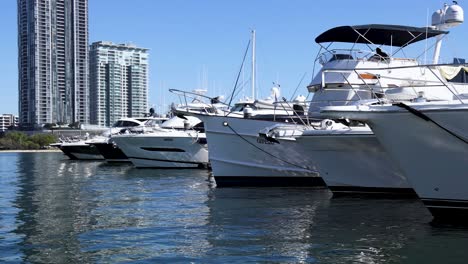 yachts docked at a marina with skyscrapers in background