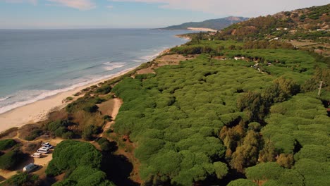 Vista-Aérea-De-Un-Denso-Bosque-A-Lo-Largo-De-La-Costa-De-Tarifa-En-España