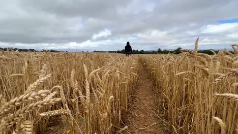 Joven-Atractiva-Caminando-Por-El-Campo-De-Trigo-Y-Tocándolo-Con-La-Mano