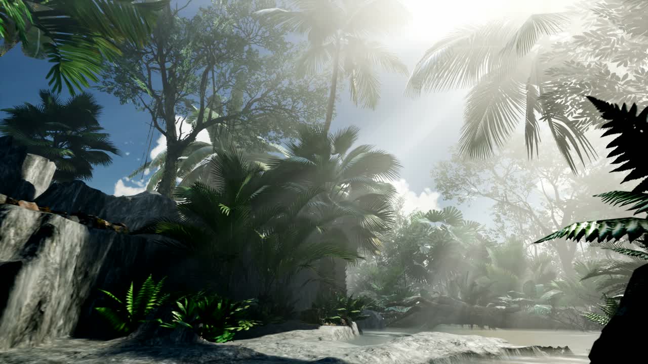 ⁇ 나무 를 가로지르는 해 가 지는 광선