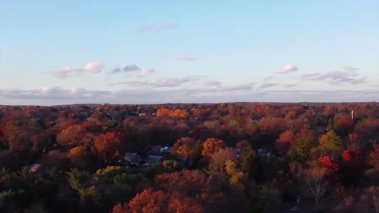 Stunning Aerial View of Autumn Foliage in a Suburb