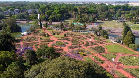 vista aérea de dolly en el jardín de rosas de palermo escondido entre árboles en primavera en buenos aires, argentina