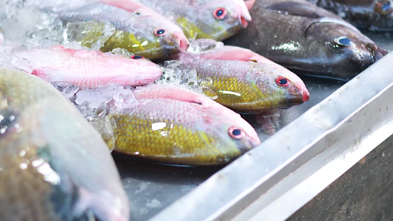 시장 에서 얼음 위 에 전시 된 다채로운 물고기