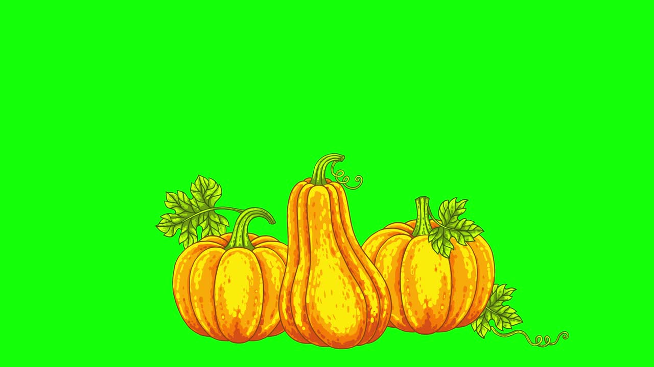 fondo animado de halloween horrible sonrisa calabazas jack o linterna aislado en una llave de croma, pantalla verde