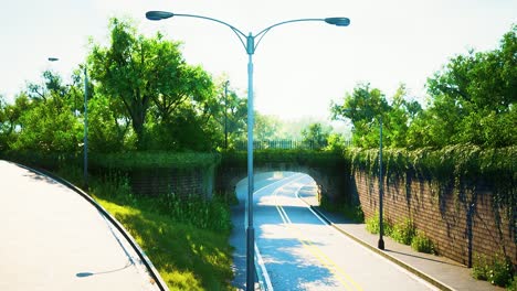 arch bridge with living bush branches in park