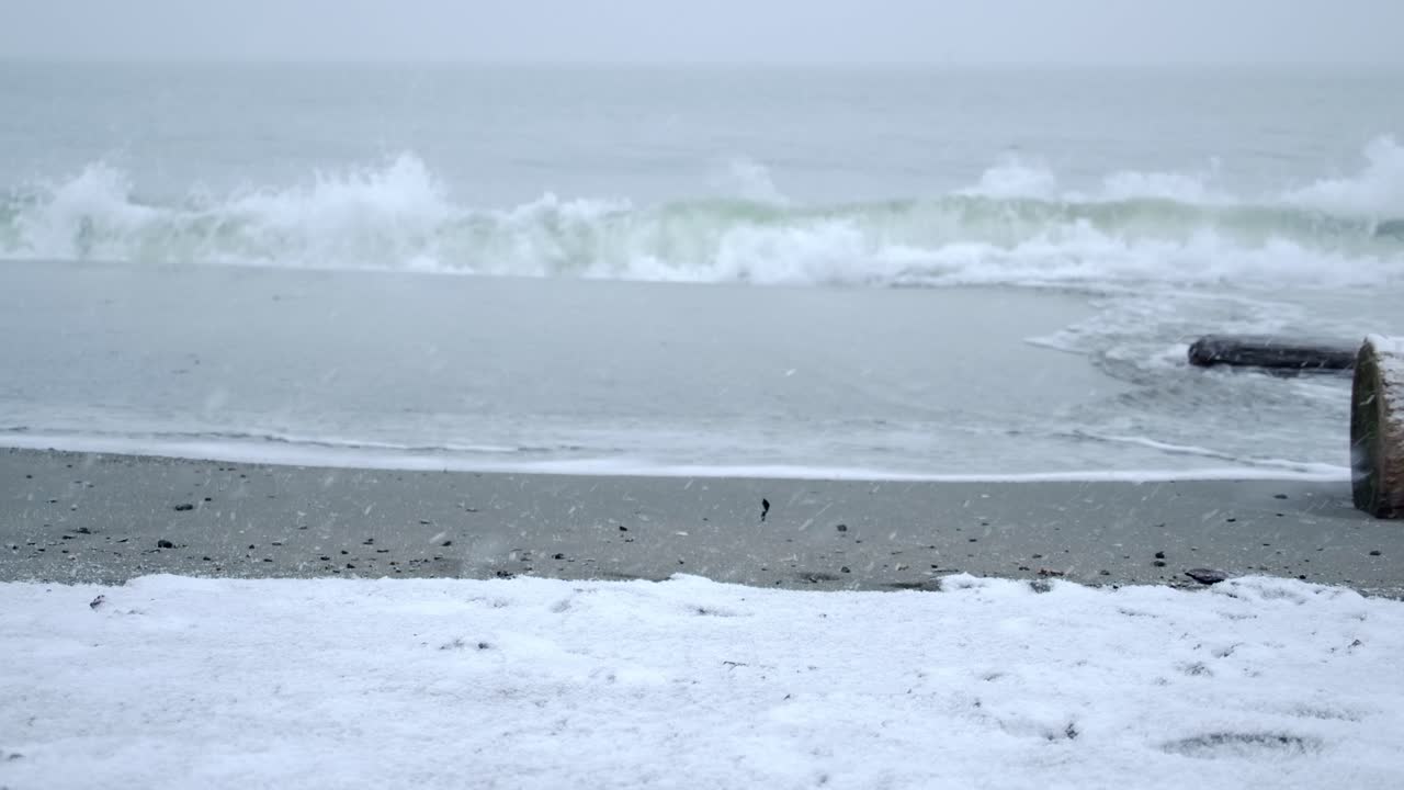 nevada en la playa, olas borrosas en cámara lenta, día nublado de nieve