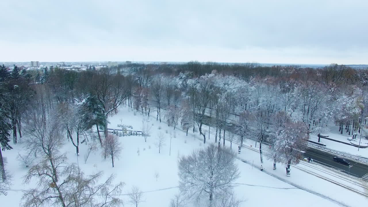 Rising above city park in winter season. Cars and public transport going by the cleaned road. Cityscape at backdrop. Top view.