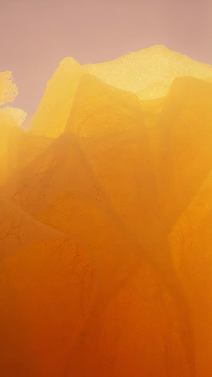 Vertical video: Moving camera revealing amber sheets at macro showing veins and light for study