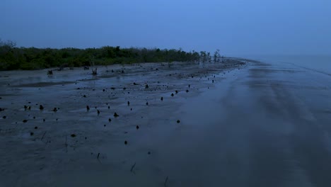 low-aerial-of-Kuakata-Sea-Beach-at-evening-near-Sundarban,-bangladesh,-mangrove-forest