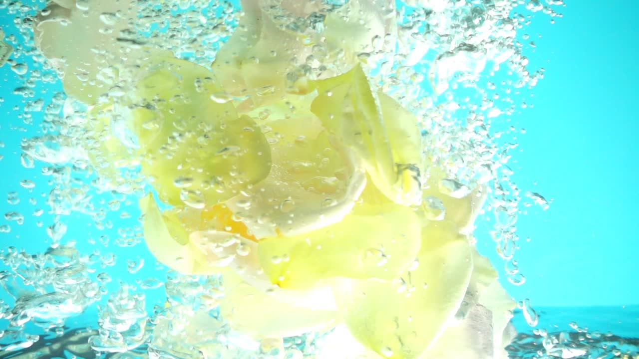 Petali di rose cadono nell'acqua. Sfondo. Movimento rallentato.