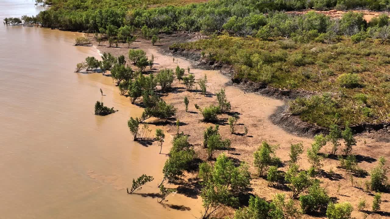 Hutan bakau dan aliran air yang indah di Australia Barat Laut
