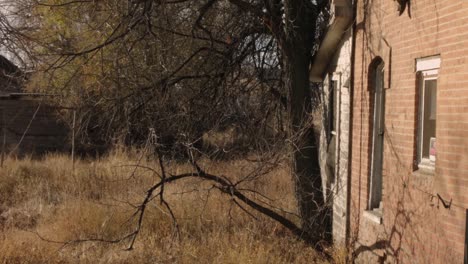 Antiguo-Edificio-Abandonado-Con-Paredes-Rotas-Y-Follaje-Seco-En-Otoño-De-2021