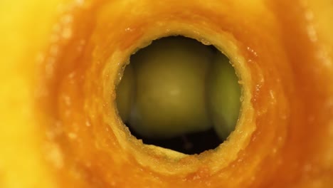 starting inside an interior of an oxidized apple core, pulling out of the apple away from a glimpse of 3 other apples in the center