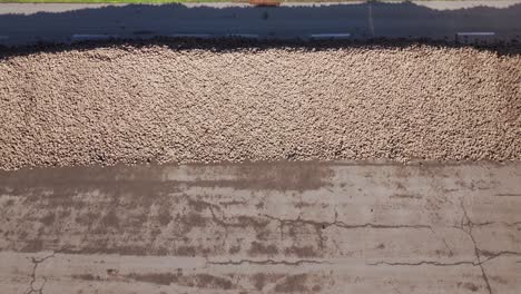 Pile-Of-Sugar-Beet-During-Harvest---Aerial-Drone-Shot