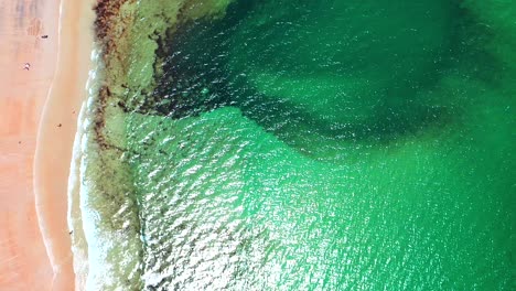 bird’s-eye aerial drone flying straight down on lively beaches of saco, maine. vacationers fill the sand near oceanfront homes while atlantic waves roll along vibrant east coast shoreline in summer