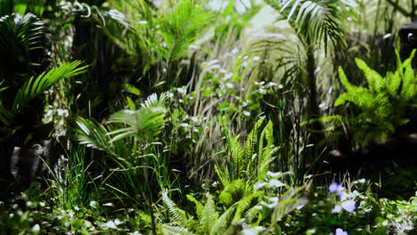 tropical jungle plants