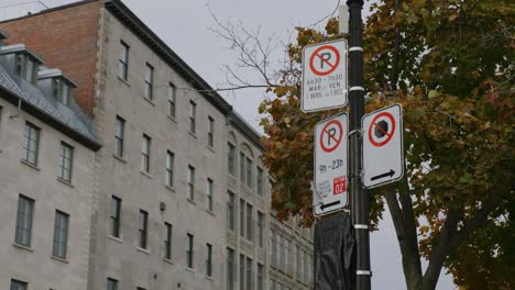 Autumn-Tree-Behind-No-Parking-Signpost-In-Montreal,-Quebec,-Canada