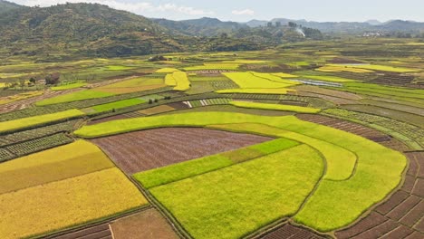 Aerial-natural-views-of-the-countryside-and-colourful-terraced-rice-fields-on-the-slopes-in-Madagascar