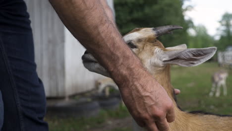 Farmer-with-little-goat