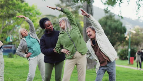 clase de yoga, parque y grupo de ancianos con instructor