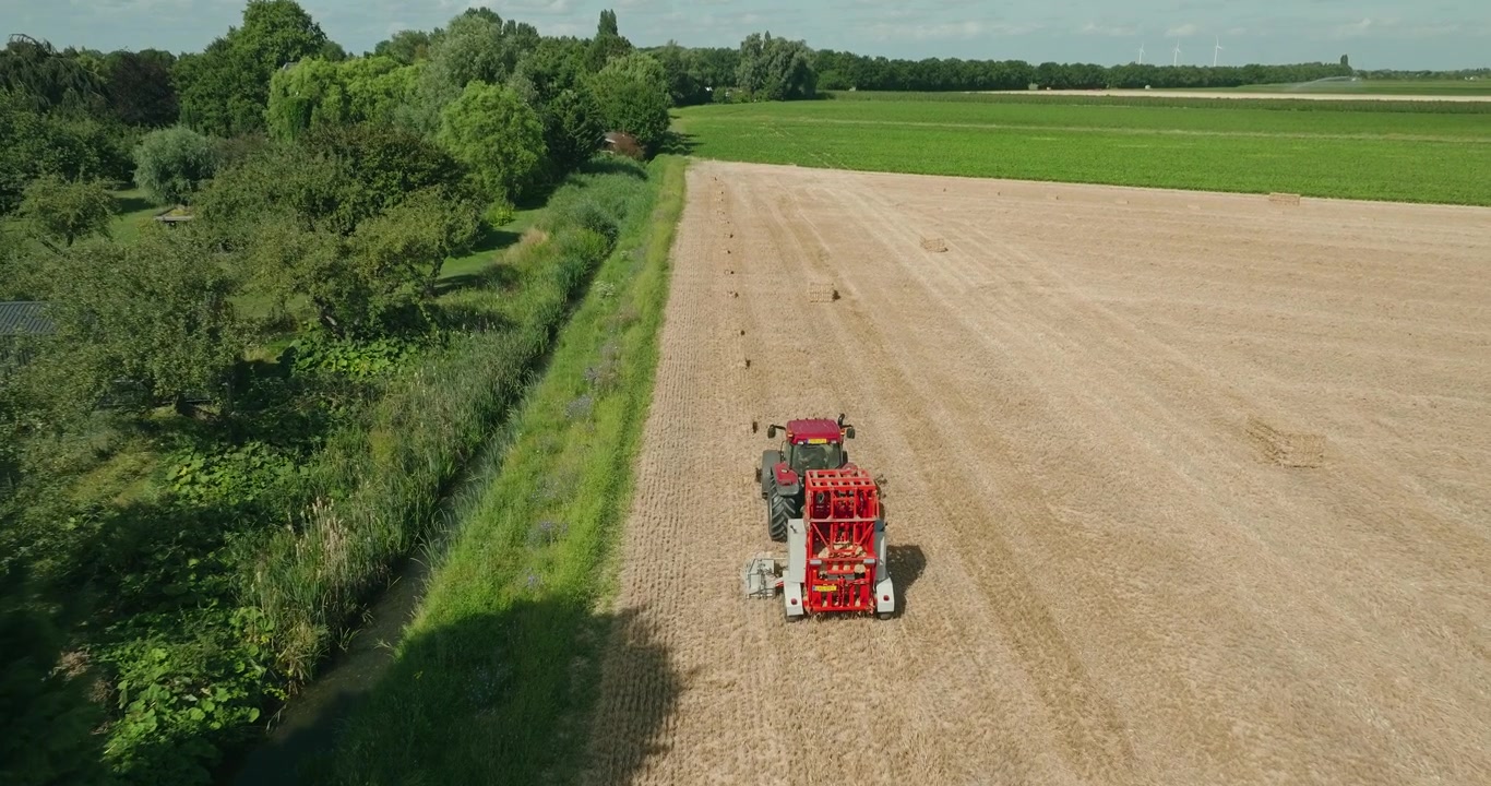 Un drone segue un trattore da dietro mentre raccoglie balle di paglia quadrate attraverso un campo di grano mietuto sotto un cielo estivo limpido e azzurro nella campagna olandese.