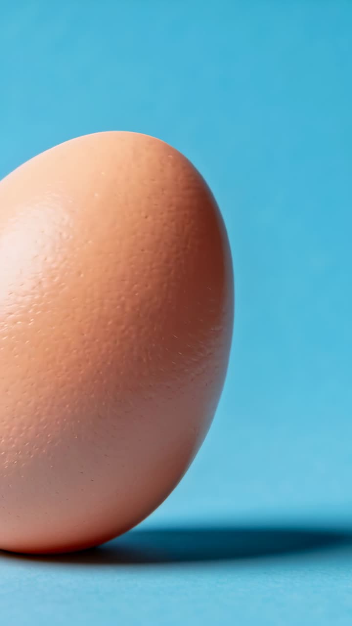 Vertical video: Gravity pulling brown egg, tilting, rolling on blue set after small shift, shadow