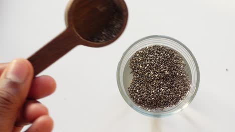 chia seeds in water