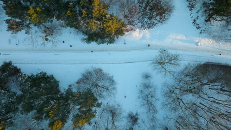 aerial shot provides a view of a park area covered in snow