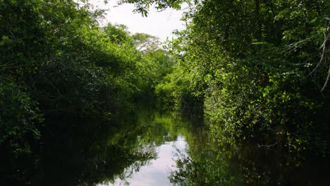 Die-Kamera-Fährt-Einen-Fluss-Hinunter,-Der-An-Den-Lamanai-maya-ruinen-Von-Belize-Vorbeiführt