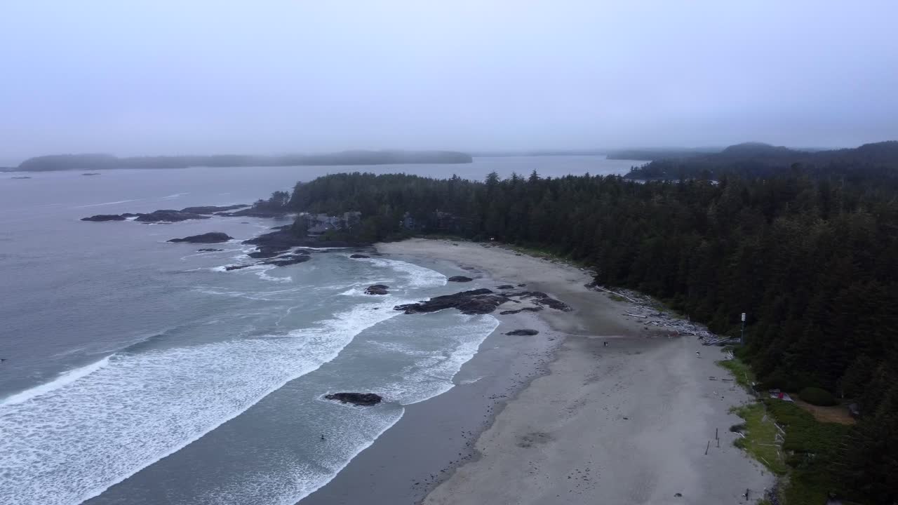 costa de tofino con cielos brumosos, olas que se estrellan en la playa de arena, rodeada de un bosque exuberante