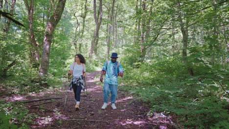 una pareja de senderistas en un bosque.