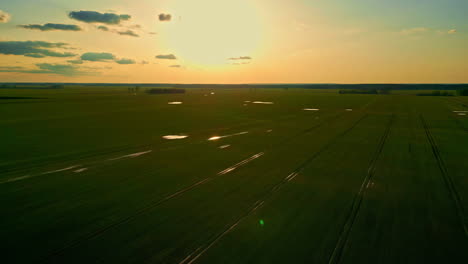 Puesta-De-Sol-Dorada-Sobre-Campos-De-Cultivo-Con-El-Cielo-Reflejándose-En-El-Agua-De-Riego---Aéreo