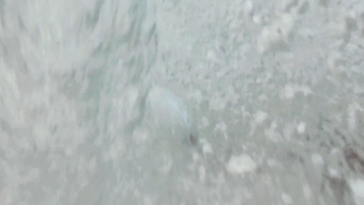 다이빙하기 위해 바다로 뛰어드는 남자