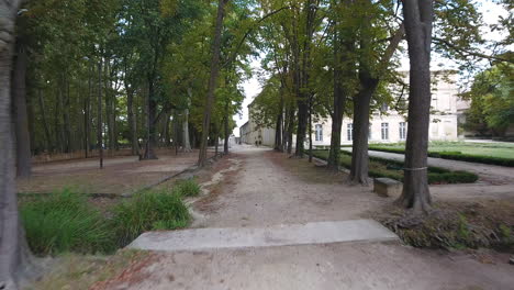 drone flying between trees on a path aerial shot